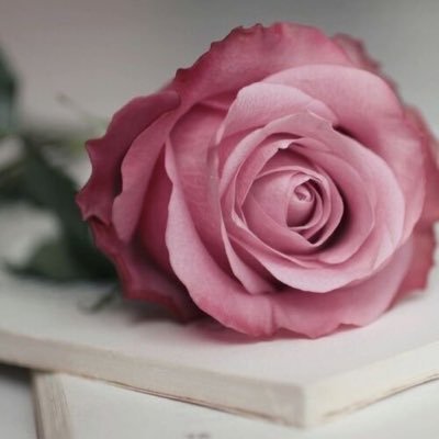 dianneyekel's profile picture. Writer, Knitter, Homesteader, Creative