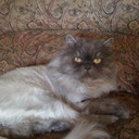 Rhonda Button - @Rhondabutton - Twitter