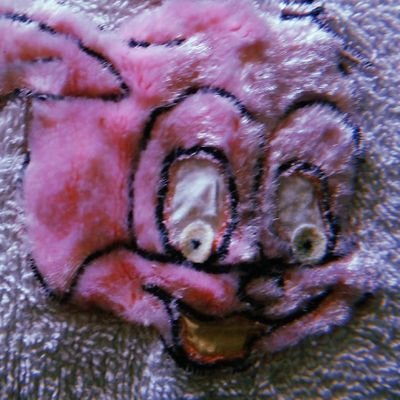 danielaesalegre's profile picture. una persona con las
prioridades confundidas