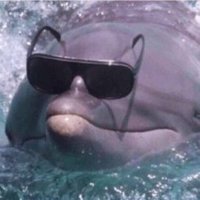 snayz (@snayzzzz) 's Twitter Profile