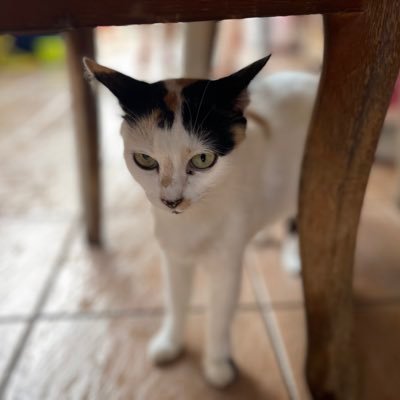 lalamortla's profile picture. 