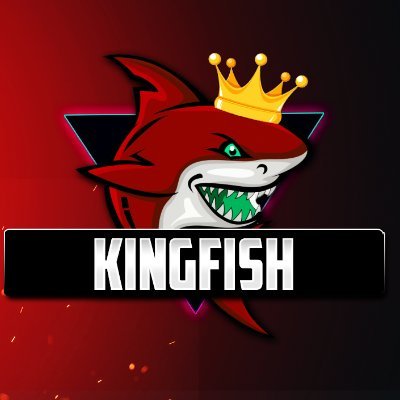 PC Streamer/Content Creator
Business - Fishmeista@outlook.com 
KingFishPlaysGames - Twitch