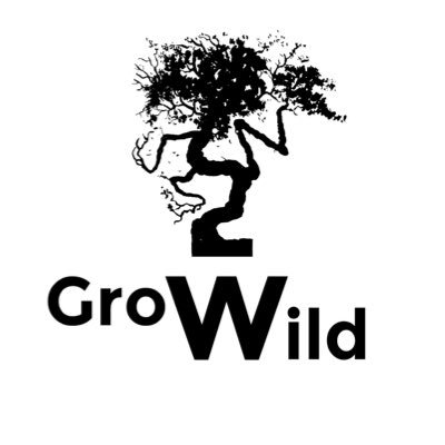 Outreach projects to support people with disabilities and mental health to connect with environmental projects & outdoor activities, see Grow Wild Art for NFT’s