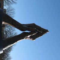 Timothy Moraghan (@timmoraghan) 's Twitter Profile Photo