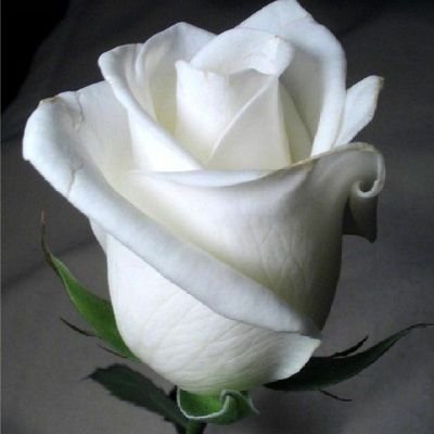 xena019's profile picture. #bagmaker @zeena's stitches, #makeup lover #townplanner #FUTMite  #Alhamdulillah ala ni’imatul Islam #IncredibleYaAllah