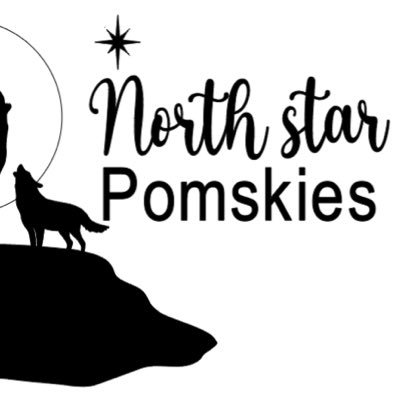 We delivery to most major airports in Canada. follow us on Instagram @Northstarpomskies. DM for more information.