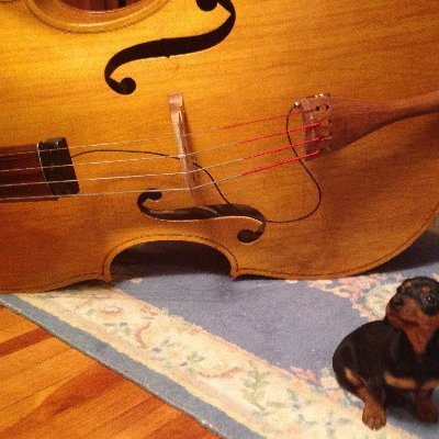 CestLaVieGypsy's profile picture. Django Reinhardt, American Standards, Bossa, and Swing.
Bill Nixon - Fiddle
Ed Perenyi - Guitar
Mike Burns - Bass
Lee Daniels - Guitar