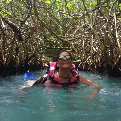 yolylandia's profile picture. 