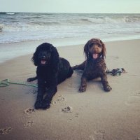 Karin Treese Bauer (@bauer_biz) 's Twitter Profile Photo Karin Treese Bauer (@bauer_biz) 's Twitter Profile Photo