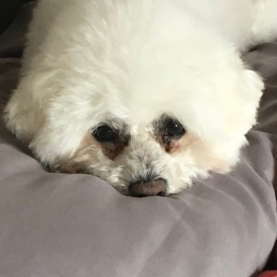 d_letham's profile picture. Follower of Berwick Rangers, Berwick Bandits, Fife Flyers and Green Bay Packers https://t.co/Ya0zeTnCDf