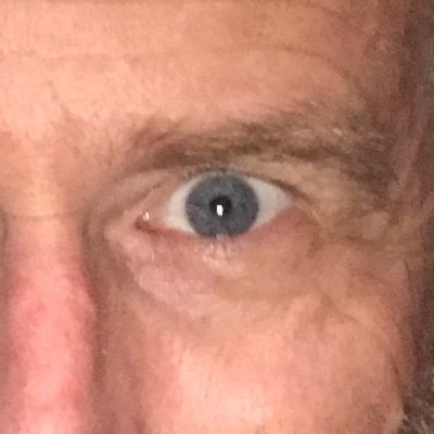 HankFries's profile picture. Artist / Teacher /DAD / terrestrial observer for Earth / cultural scientist