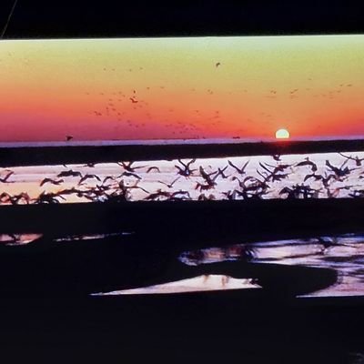 JamesSp68572999's profile picture. Fun