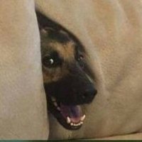 GJH(NSFW) 🔞 (@gjh_2_) 's Twitter Profile
