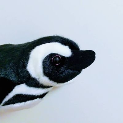 美春さんのプロフィール画像