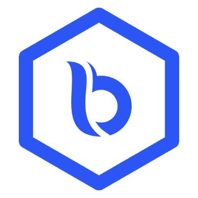 BitMaker Finance is a modern age project designed to meet the revolution in the market of finance called decentralized finance (DeFI).