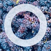 Okanagan Crush Pad (@okcrushpad) 's Twitter Profile