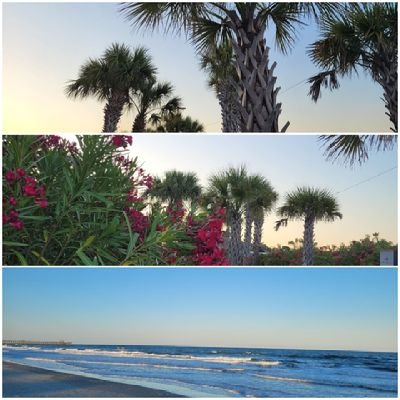 LittleLeaders4's profile picture. EWA Teacher of the Year 19-20📎 CSI📎26 years and counting