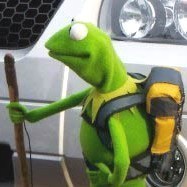 rafaschultz's profile picture. 