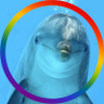 CasualPorpoise's profile picture. YO BANNER THANKS TO MY MAN @TheBreezy3k