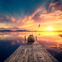 Paul Chavez (@paulcha63260114) 's Twitter Profile