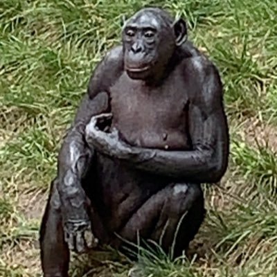 adamschwartz__'s profile picture. Being Jewish isn’t my only identity. I can also sing.