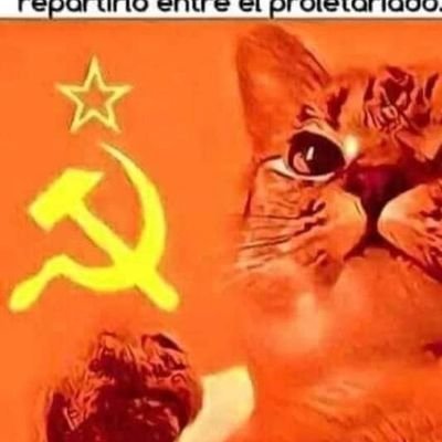 felinosovietico's profile picture. El poder y justicia social al proletariado.