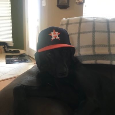 Rich04Patt's profile picture. Life sucks then you die.
@olemiss 27