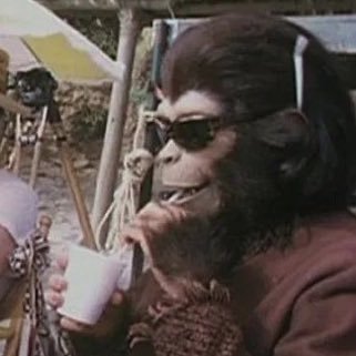 Jamie Magillさんのプロフィール画像