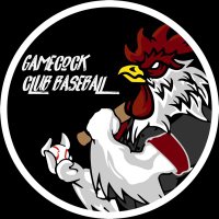 South Carolina Club Baseball (@scclubbaseball) 's Twitter Profile