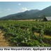 Rogue Valley Wine (@roguevalleywine) Twitter profile photo Rogue Valley Wine (@roguevalleywine) Twitter profile photo