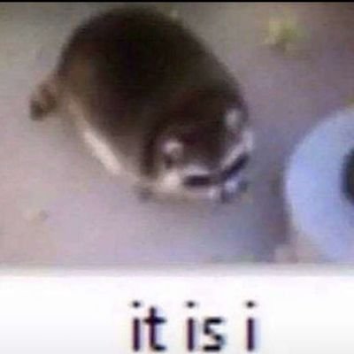 TheLuckyArcher's profile picture. 