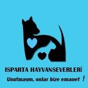 🐕 ISPARTA HAYVANSEVERLERİ 🐈