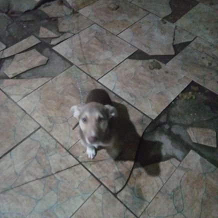 RobertoBiasibe5's profile picture. Vida loka