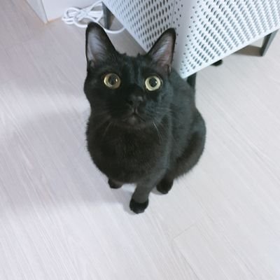 말랑콩떡 최고!さんのプロフィール画像