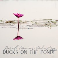 Ducks on the Pond (@ducks_otpond) 's Twitter Profile