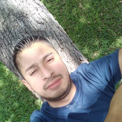 MartinM20000720's profile picture. La locura