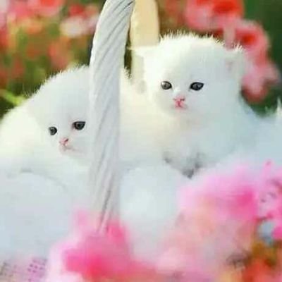 Success is not a destination..... success is a journey......