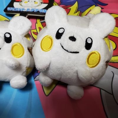 さくらもちさんのプロフィール画像