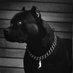 KvngPipe (@pipekvng) Twitter profile photo KvngPipe (@pipekvng) Twitter profile photo