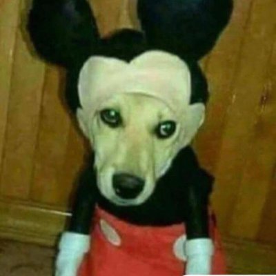 elongatedBeaver's profile picture. your mother