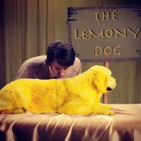 Chris Bran (@chrisbran) 's Twitter Profile