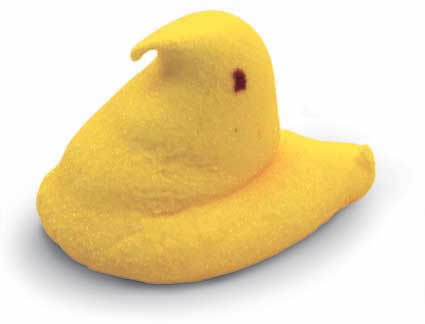 pineridgepeeps's profile picture. This twitter is dedicated to famous quotes from attenders of Pine Church in Graham, NC.