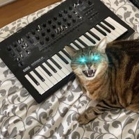 Laser Eyes Doudou (@youritsupportt1) 's Twitter Profile