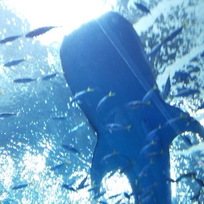 ぐらす 滑走路 観ました 息子がいる身としては考えさせられる映画でした ずっと何でも話せる親子関係を築けますように 難しい事だろうけどこの気持ちを忘れずにいたいと思わされる映画でした 浅香さんのずっと追い詰められているけど現実に ぐらす 滑走路 観ました 息子がいる身としては考えさせられる映画でした ずっと何でも話せる親子関係を築けますように 難しい事だろうけどこの気持ちを忘れずにいたいと思わされる映画でした 浅香さんのずっと追い詰められているけど現実に