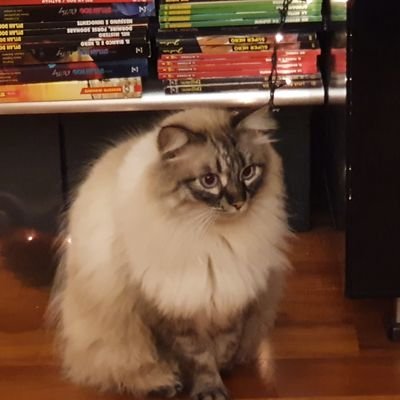 Roberto64039570's profile picture. 