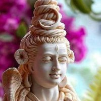 vigneshkumar (@vignesh61078619) 's Twitter Profile