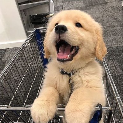 iammillet00's profile picture. #아이유 #방탄소년단 #유애나 #아미 ɪᴜ | ʙᴛs