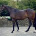 Lismortagh Farm (@lismortagh) Twitter profile photo Lismortagh Farm (@lismortagh) Twitter profile photo