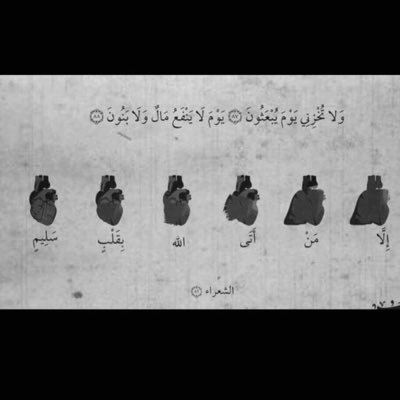أحب أن أرا الإبتسامه في وجوه الأخرين ، و أسعى لأن أكون ذا أثر طيبٍ لايُنسى🌿..