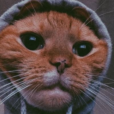 abiola_aremo's profile picture. No one deserves to die because they accommodated someone and certainly not from oppression! #Sudan #Congo #Palestine